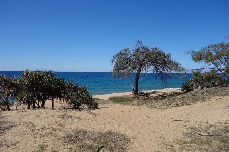 Chinamans Beach - Visit Agnes 1770